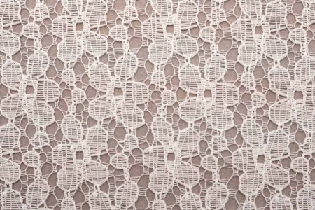 Floral Lace Mesh Fabric